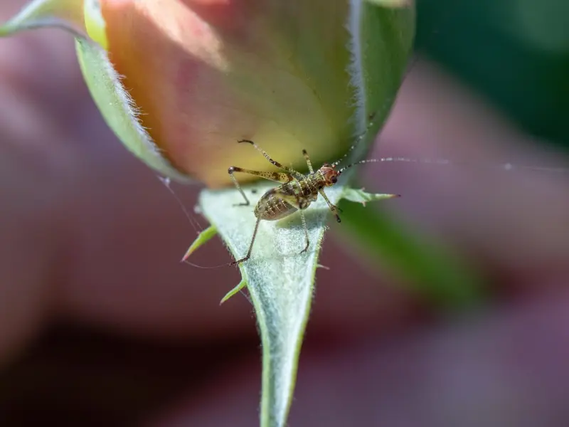 不懂挽回的你还继续这么做，难怪他不理你！