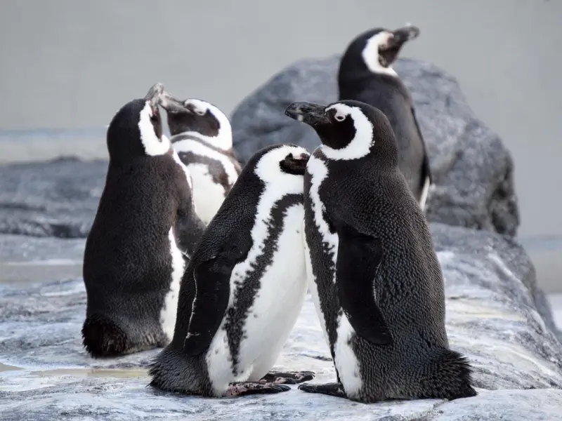 2018你若不离，2019我们继续！