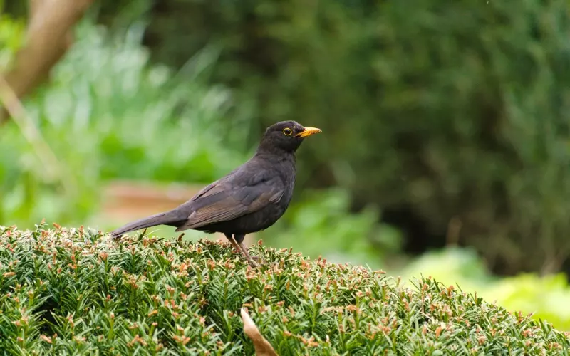 如果不爱了还有什么办法挽回