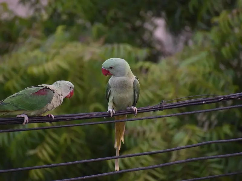 女人最舒服的几个小动作，你不懂，她心里会骂你的