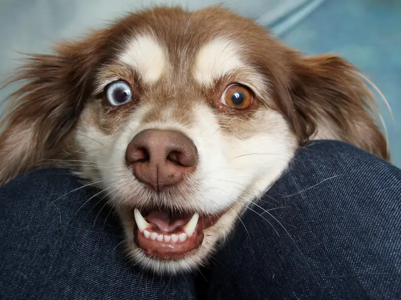 遇到这样的男生就删了吧！三招教你鉴别社会渣男