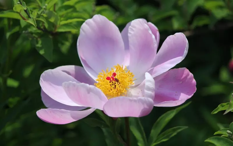 遇到这样对你的前任，那就努力去挽回吧！