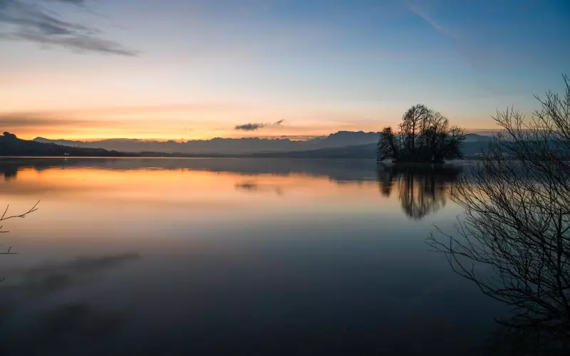 如果你身上散发着这样的信息，明天就不用过双十一了！