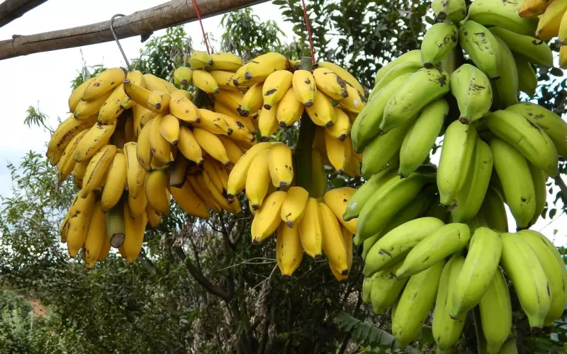 在爱情路上摔倒了，如何华丽转身重新吸引前任？