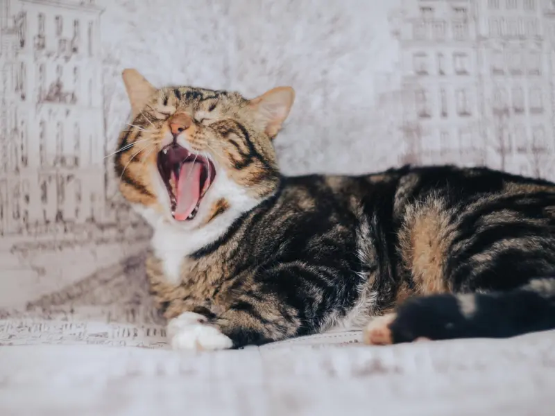 如果你爱上一个有家男人，这里有几句话送给你，受用一生