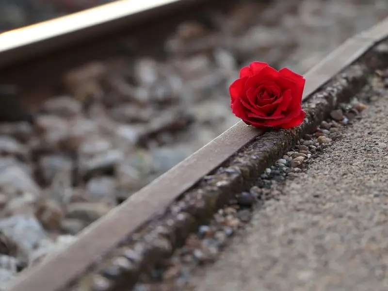 如果，你爱上一个有家庭的人，请记住这些