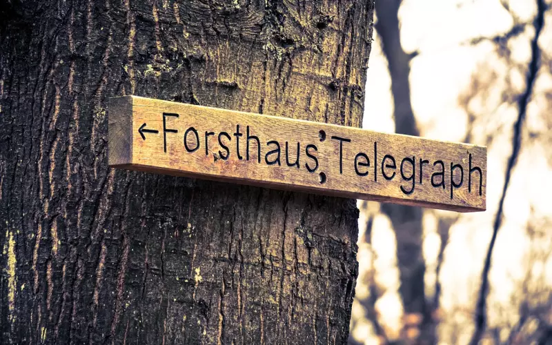 爱上一个有家庭的男人，可以用这3点来决定去留！