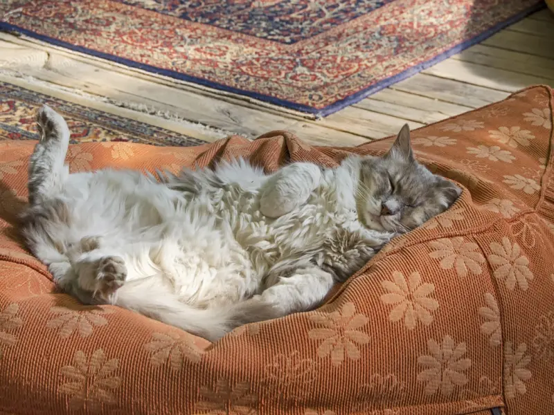 跟这三个星座谈恋爱，最不用担心被抛弃