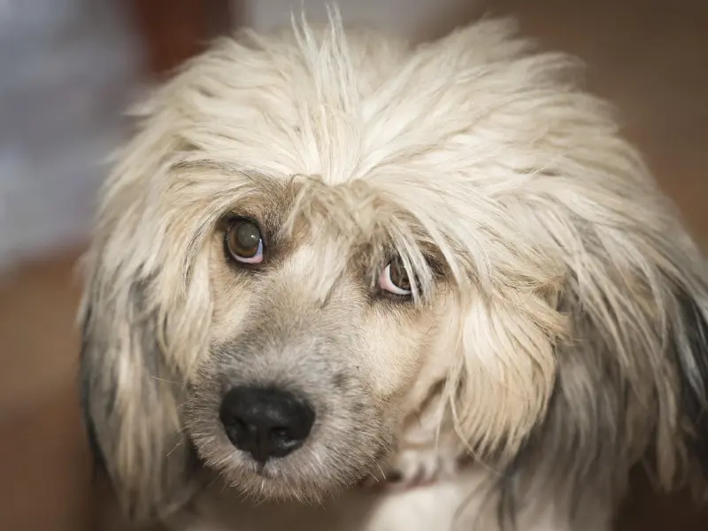 抓住男人这个心理弱点 就没有搞不定的恋爱