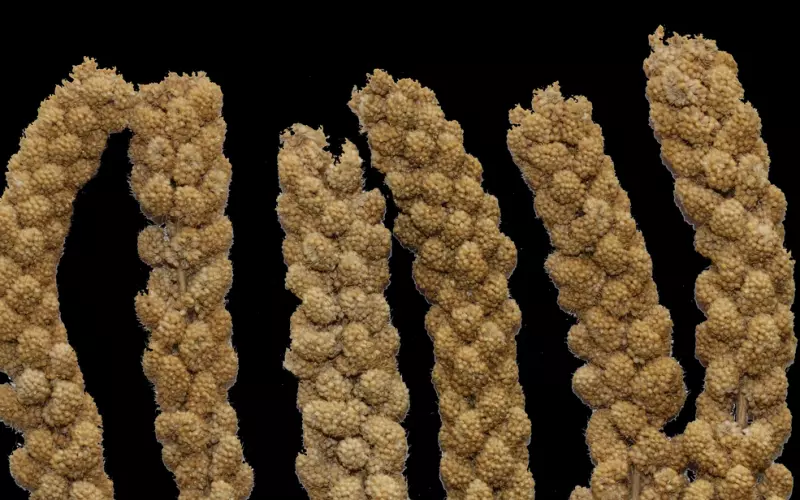 跟异性有“暧昧”关系，身上一定有这三种表现