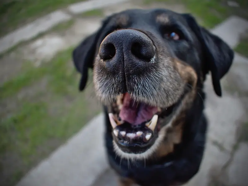 异性朋友之间，做过这三件事，关系早晚要“越界”，别自欺欺人了