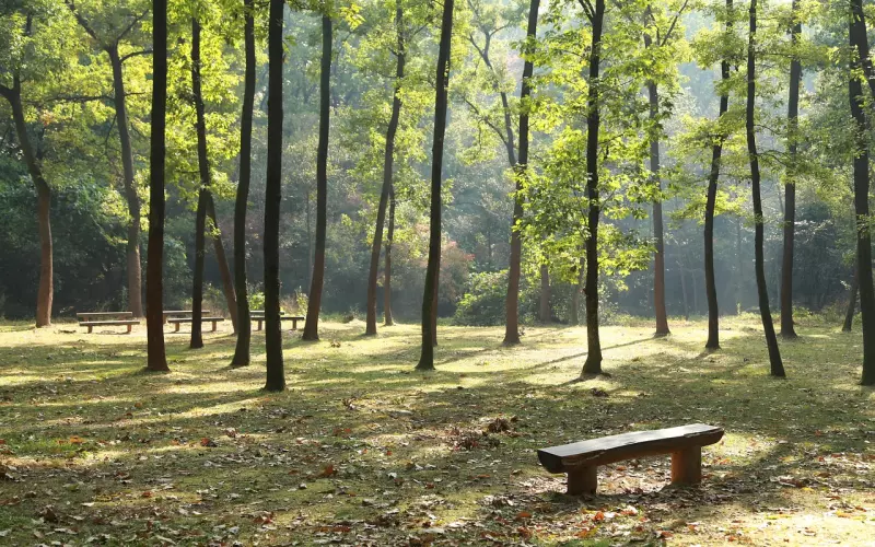 恋爱失败的你一定都有这些毛病吧【一】