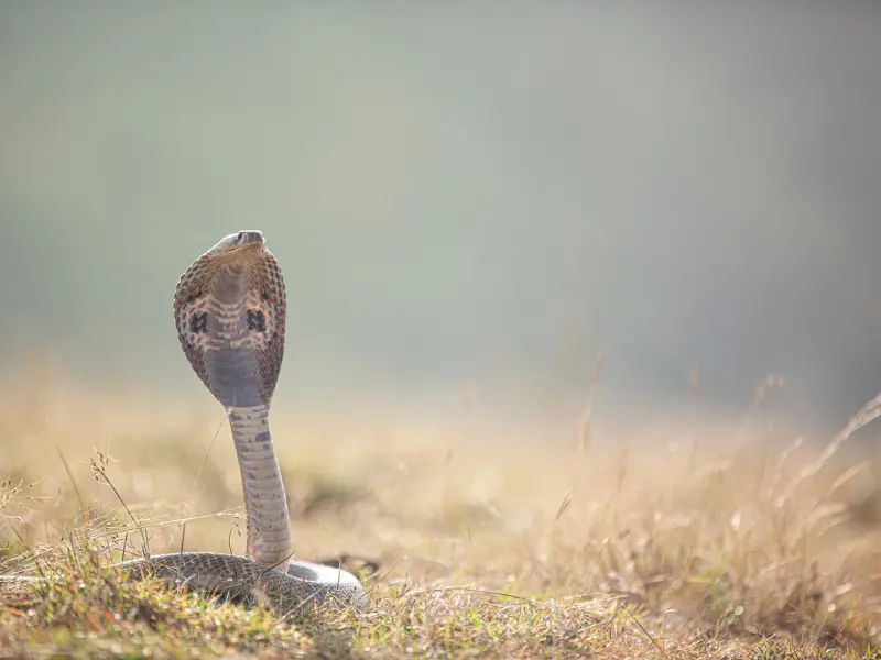 有这些毛病，你的婚姻就危险了！