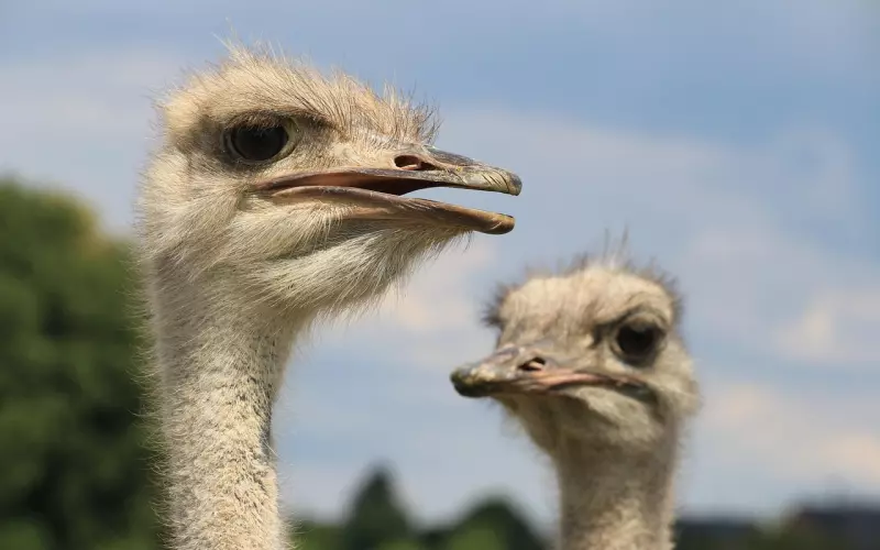 挽回中有这三种行为，一定不会成功!