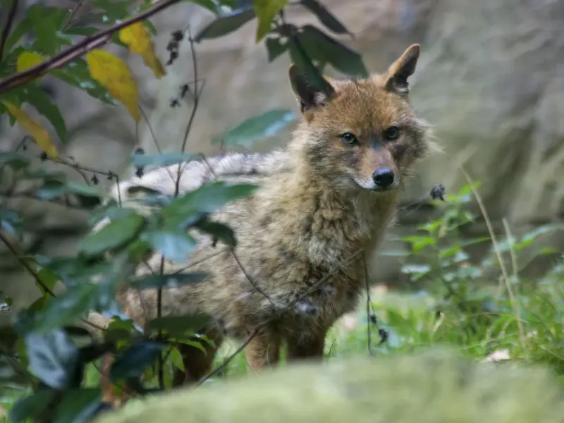 你忽视了这些东西，难怪前任会狠心离你而去