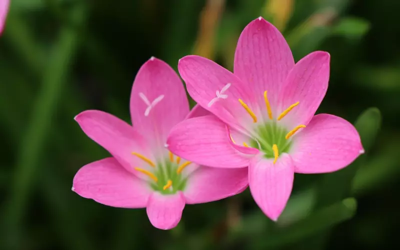 “亲到女人这几个地方，那么好好珍惜她吧”