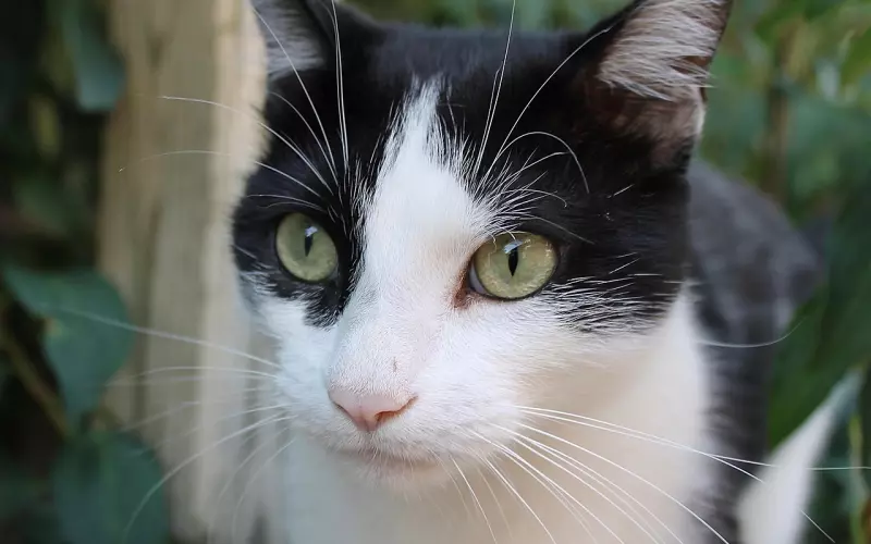 懂得分析男人分手后的这些小心思，挽回其实也不难！