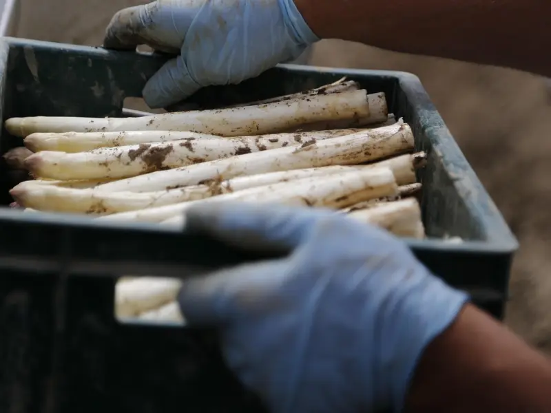 学会亲吻她这3个地方，就能轻易征服女人，很准