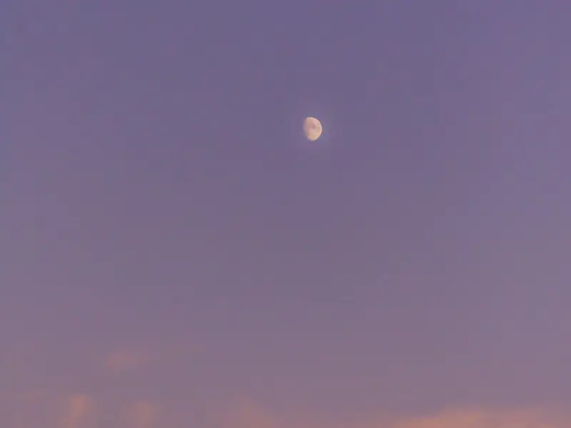 你那么听父母的话，最后呢？