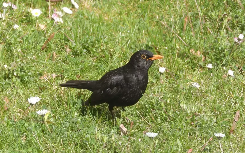 善用这一招，就能在不知不觉中引导男人为你投入更多（上）