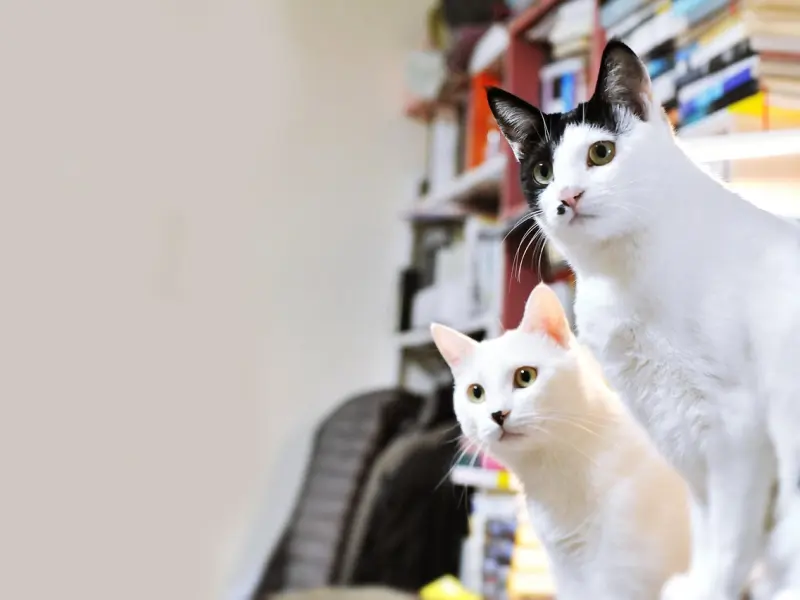 异性之间，“随便”开了这3个“玩笑”，你们的感情一准完蛋！