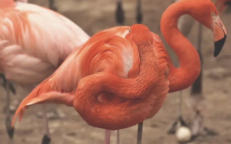 犯了这两个错误，就别想真正地挽回成功