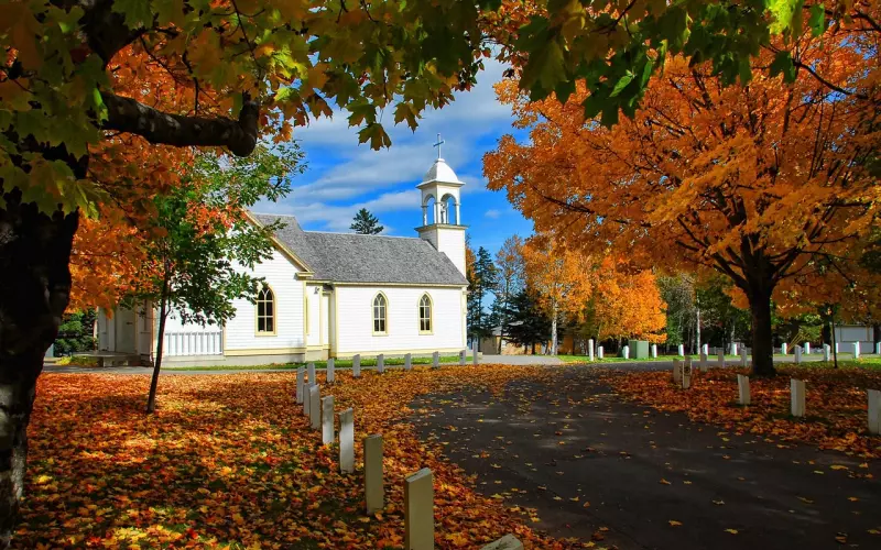 挽回中要断联，前任会不会趁机有新欢？