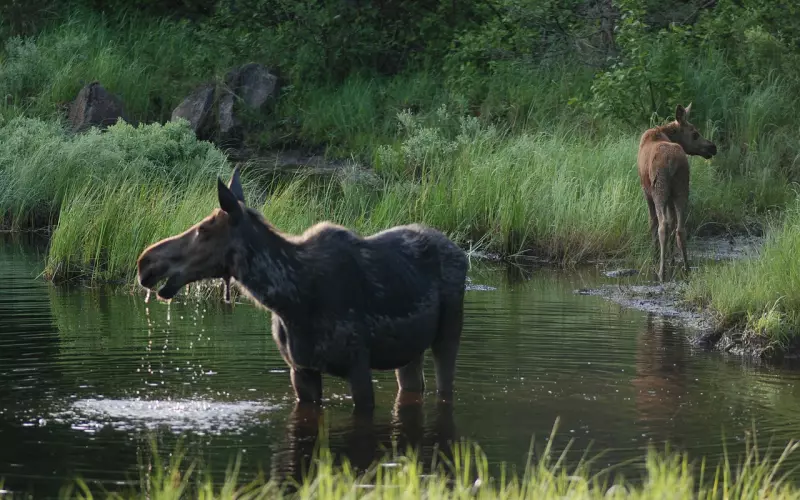 这样冷落一个男人，不论多无情他也会对你另眼而看，想要挽回你
