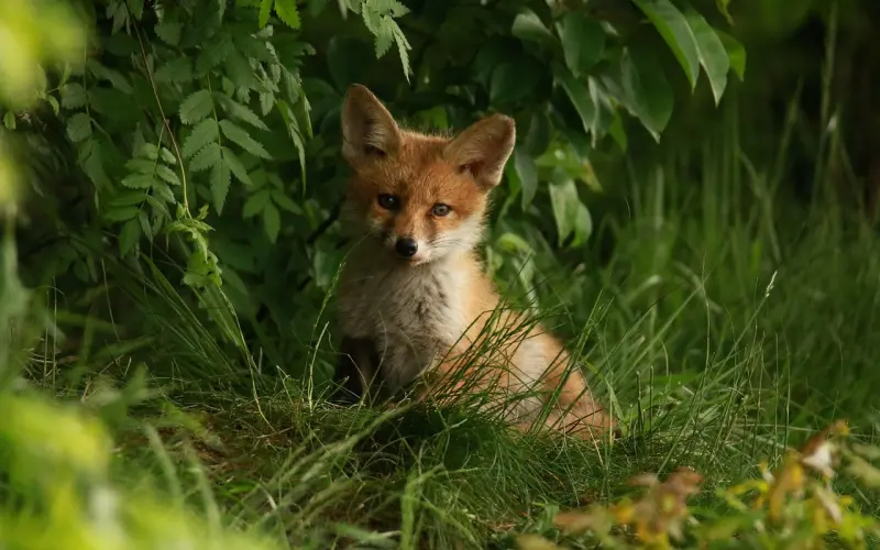 你冷落了我，我也会慢慢地冷落你
