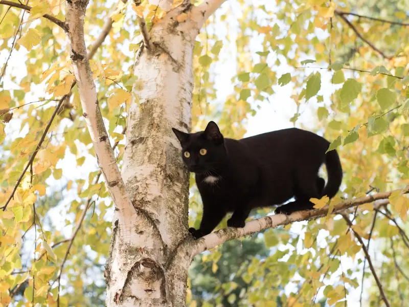 你若是经常收到他的这些微信消息，表明他正在偷偷暗恋你，别不懂