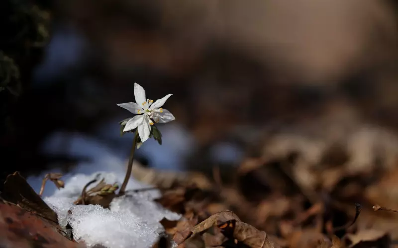 分手后这样发朋友圈，再无情的男人也会回头找你！