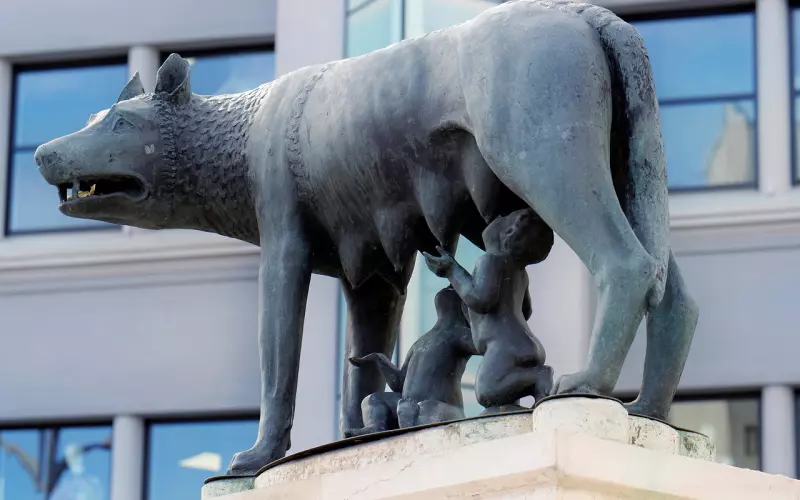 太惯着女生，分手后该怎么办？