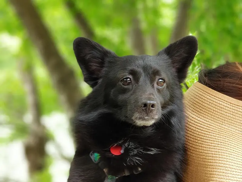 分手后还对前任念念不忘，如果你这样挽回他，你会发现，挽回不难