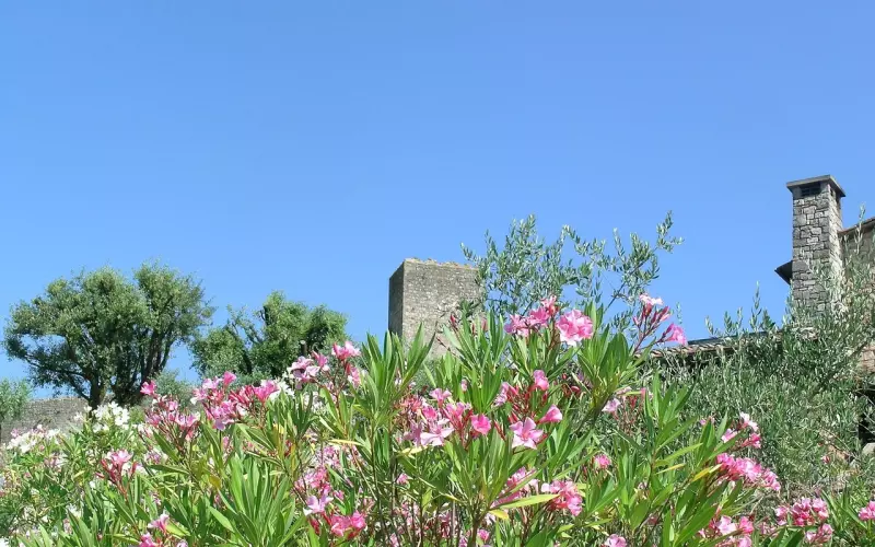 主动久了会很累，在乎久了会崩溃