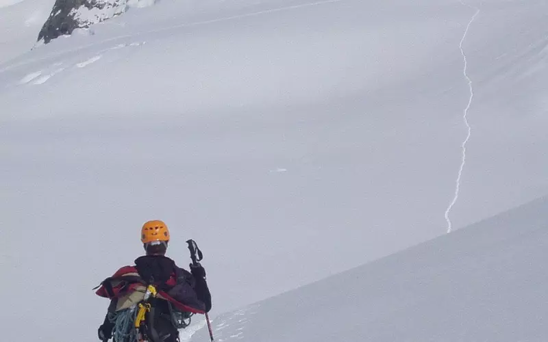 走错了路，要记得回头；爱错了人，要懂得放手