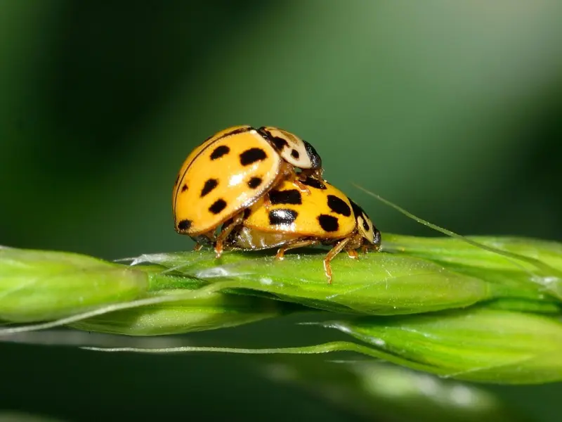 这样对你的男人，再爱也要放手，他不值得你去付出