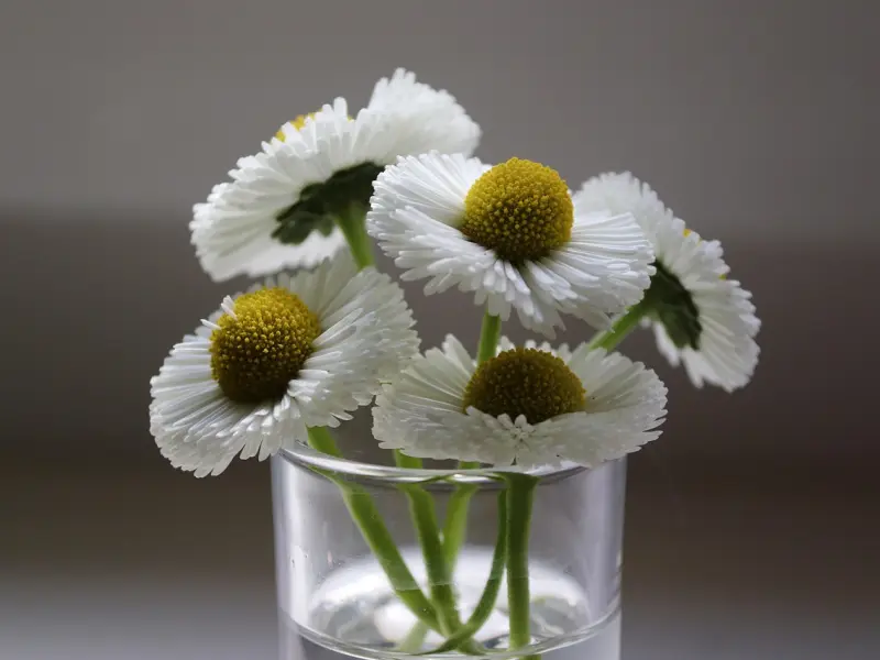 懂得了因与果，就掌握了命运！懂得了自己消受自己的心情，你就成功了！