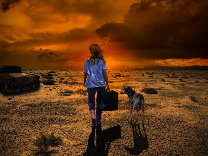 ❤看懂的请带给下一个人