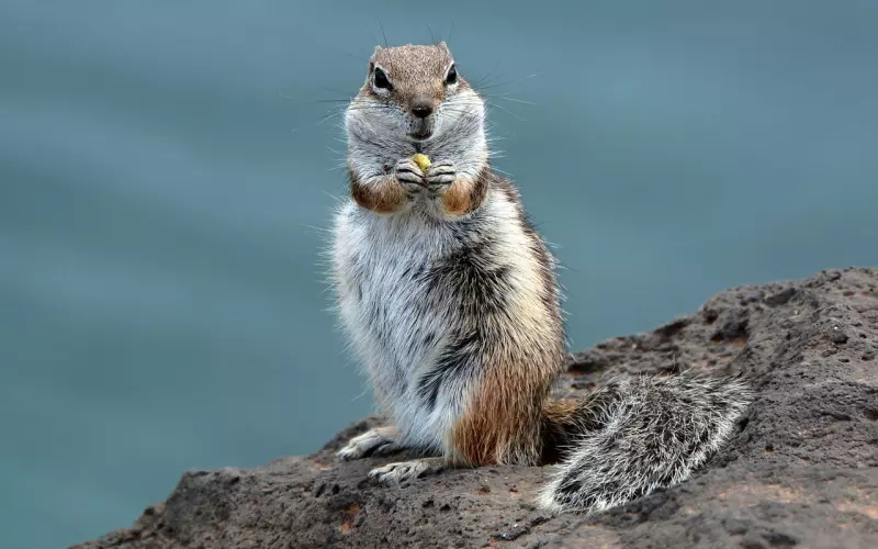 男人难以启齿的小心思，你懂了，自然就那能挽回了