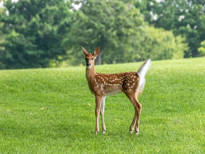 想让男人对你“上瘾”，笨女人用讨好，而聪明女人用手段