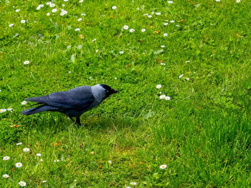 想让男人对你上瘾，谨记这“三别”