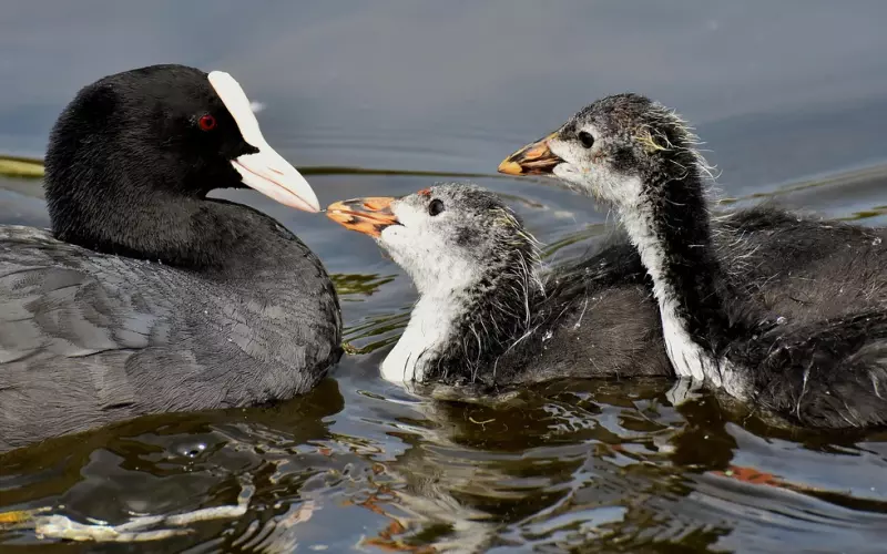 想让男人深爱你，就要学会“笨”一点！