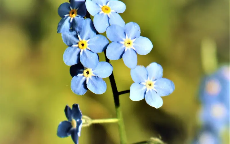 想让男人忘不了你，这些时候最好不要联系他