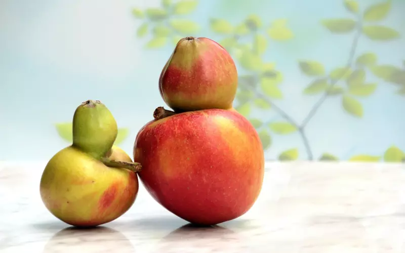 想让女人对你“日思夜想”，男人就要学会这些“招式”