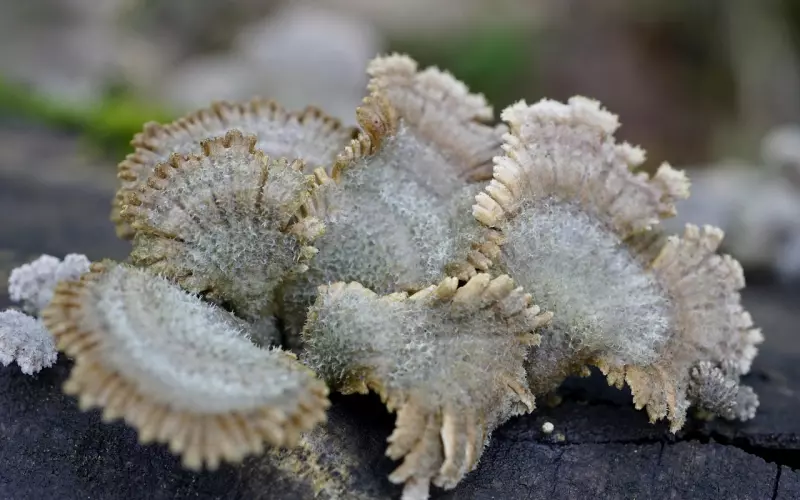 想跟男友分手彻底决裂，你就这么做！