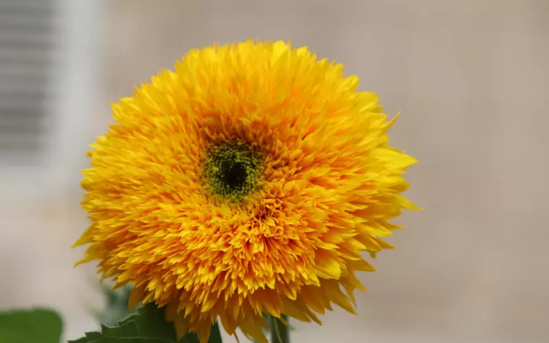 想要快速复合，怎样与前任聊天才有助挽回爱情