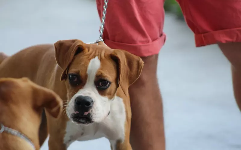 想复合，先激起双方的好奇心！