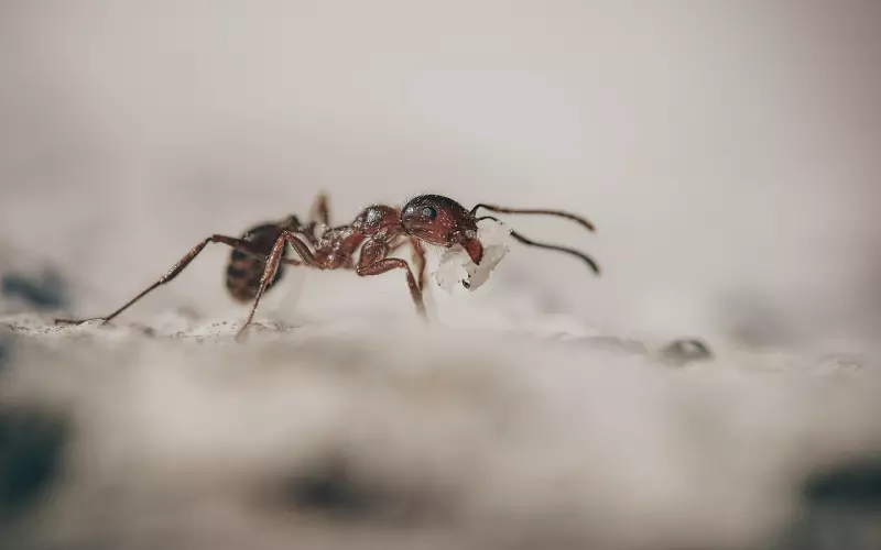 想跟前任复合，首先要舍弃三样东西！