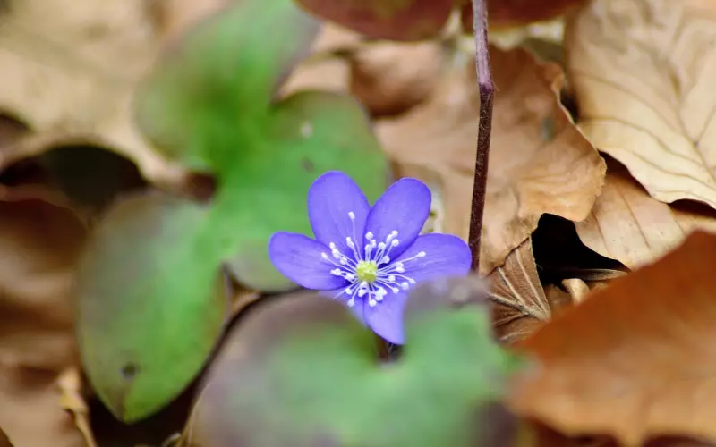 想跟前任复合，首先要舍弃三样东西！