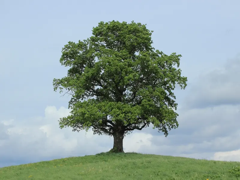 想快速脱单，一定要避开这四个误区！